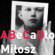 Abecadło dzieciństwa – krasnogrudzki Miłosz. Multimedialne materiały edukacyjne obraz projektu